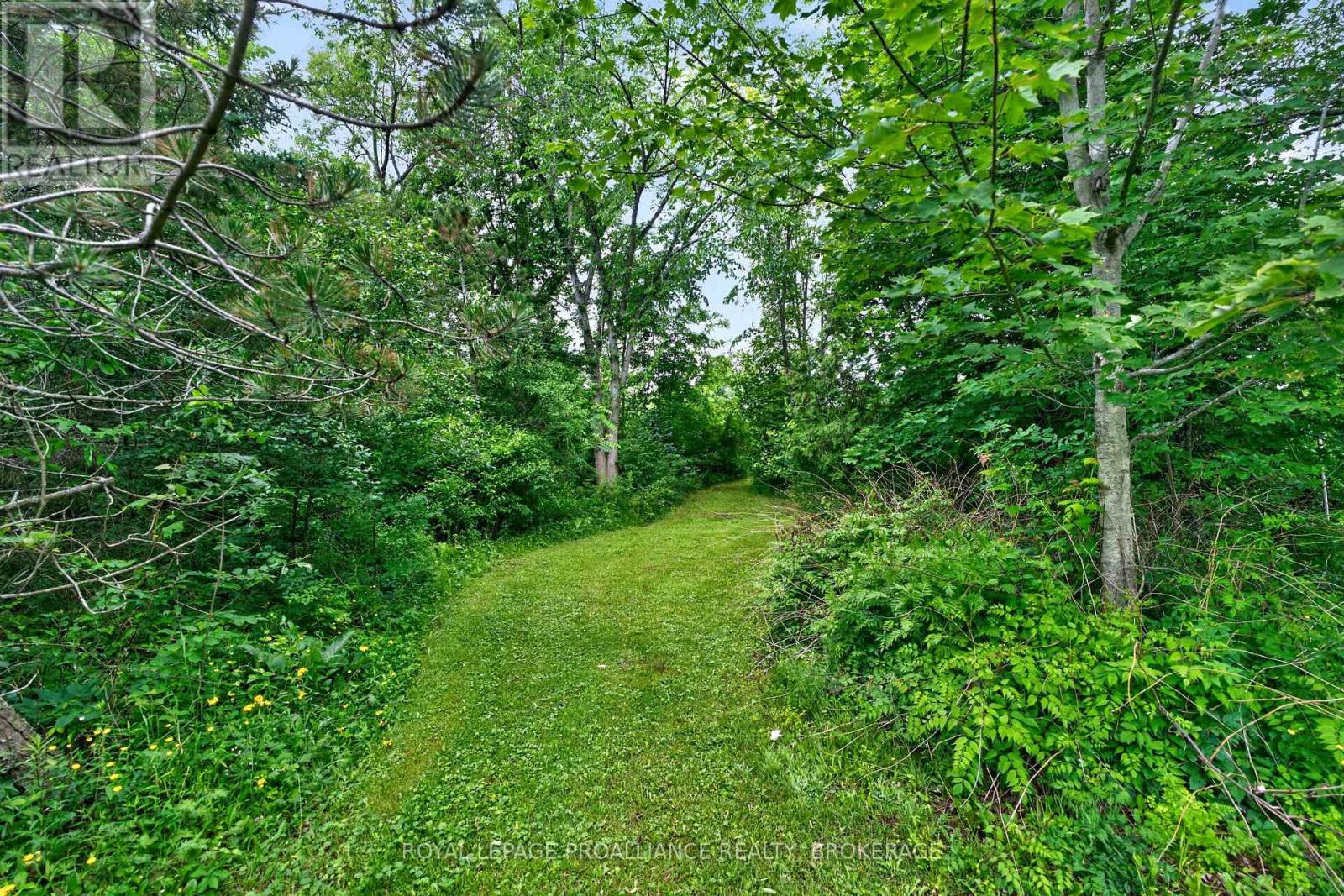 Pt Lt 5 Jarvis Road, Kingston, Ontario K7L 4V3 - Photo 5 - X13495940