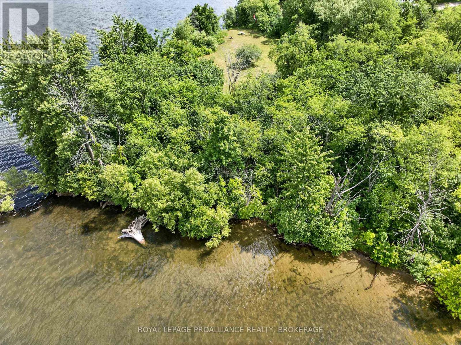 Pt Lt 5 Jarvis Road, Kingston, Ontario K7L 4V3 - Photo 6 - X13495940