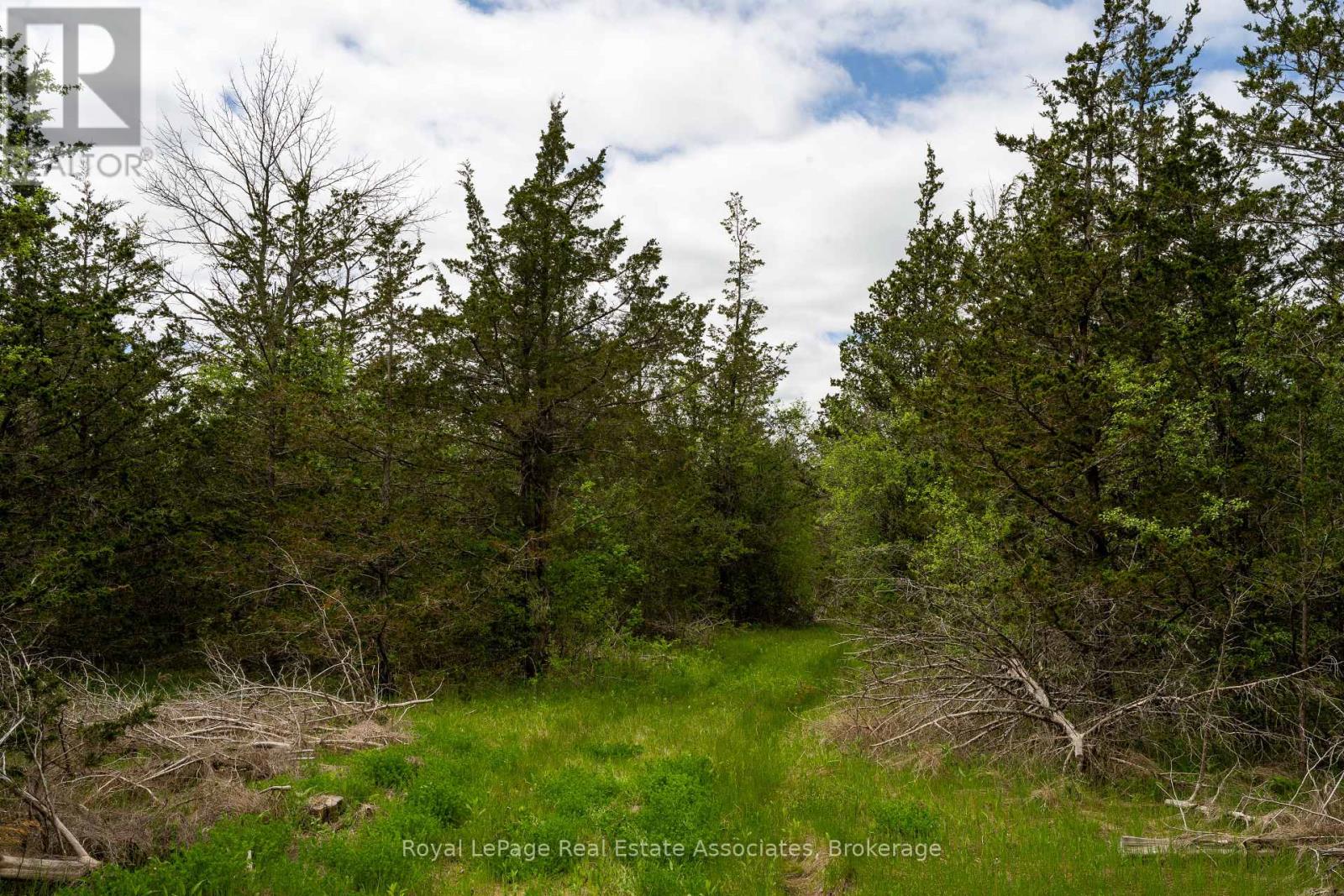 2523 County Rd 15 Road, Prince Edward County, Ontario  K0K 1W0 - Photo 3 - X13495874