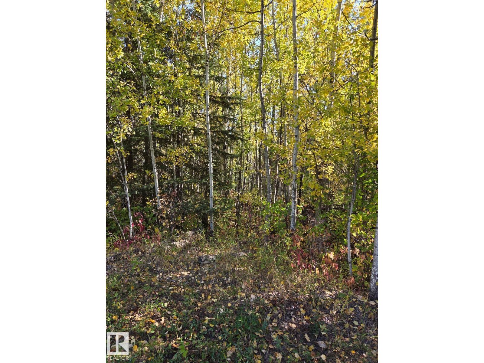 #3 9002 Hwy 16, Rural Yellowhead, Alberta  T0E 2M0 - Photo 11 - E4484290