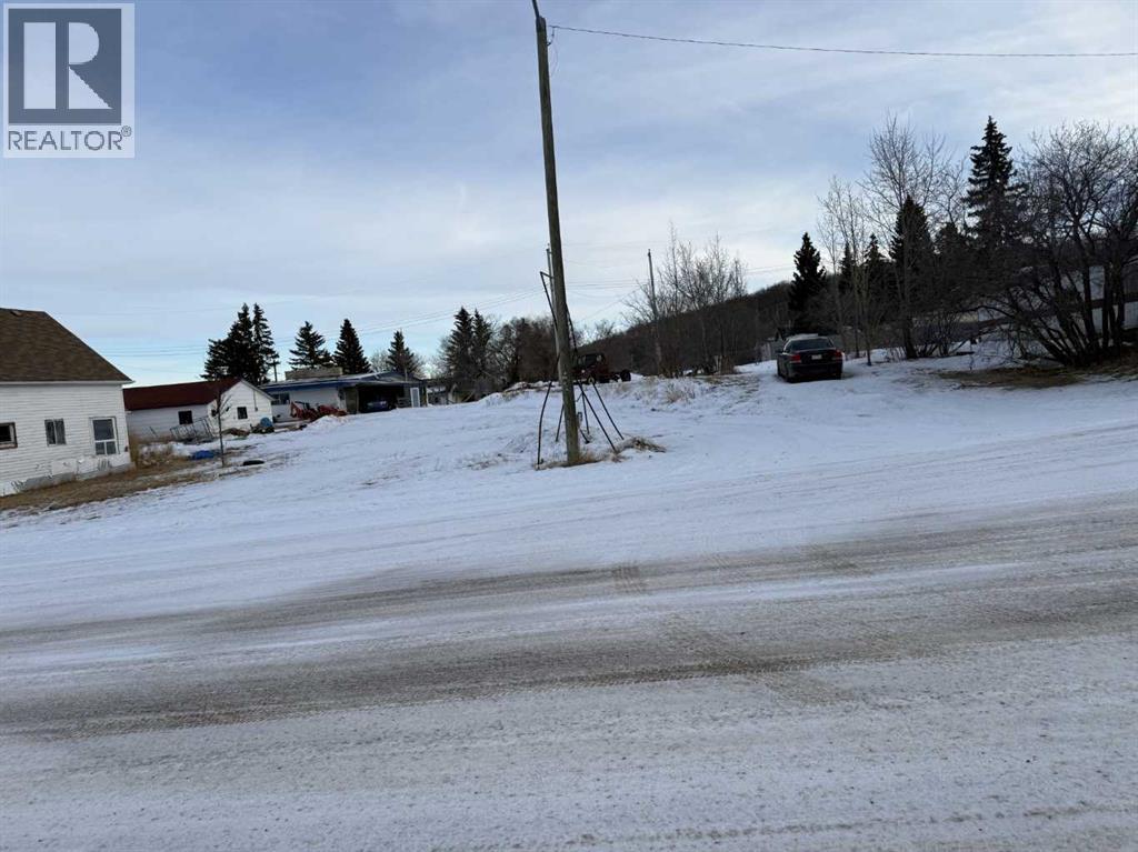 4908 50 Street, Meeting Creek, Alberta  T0B 2Z0 - Photo 5 - A2286086