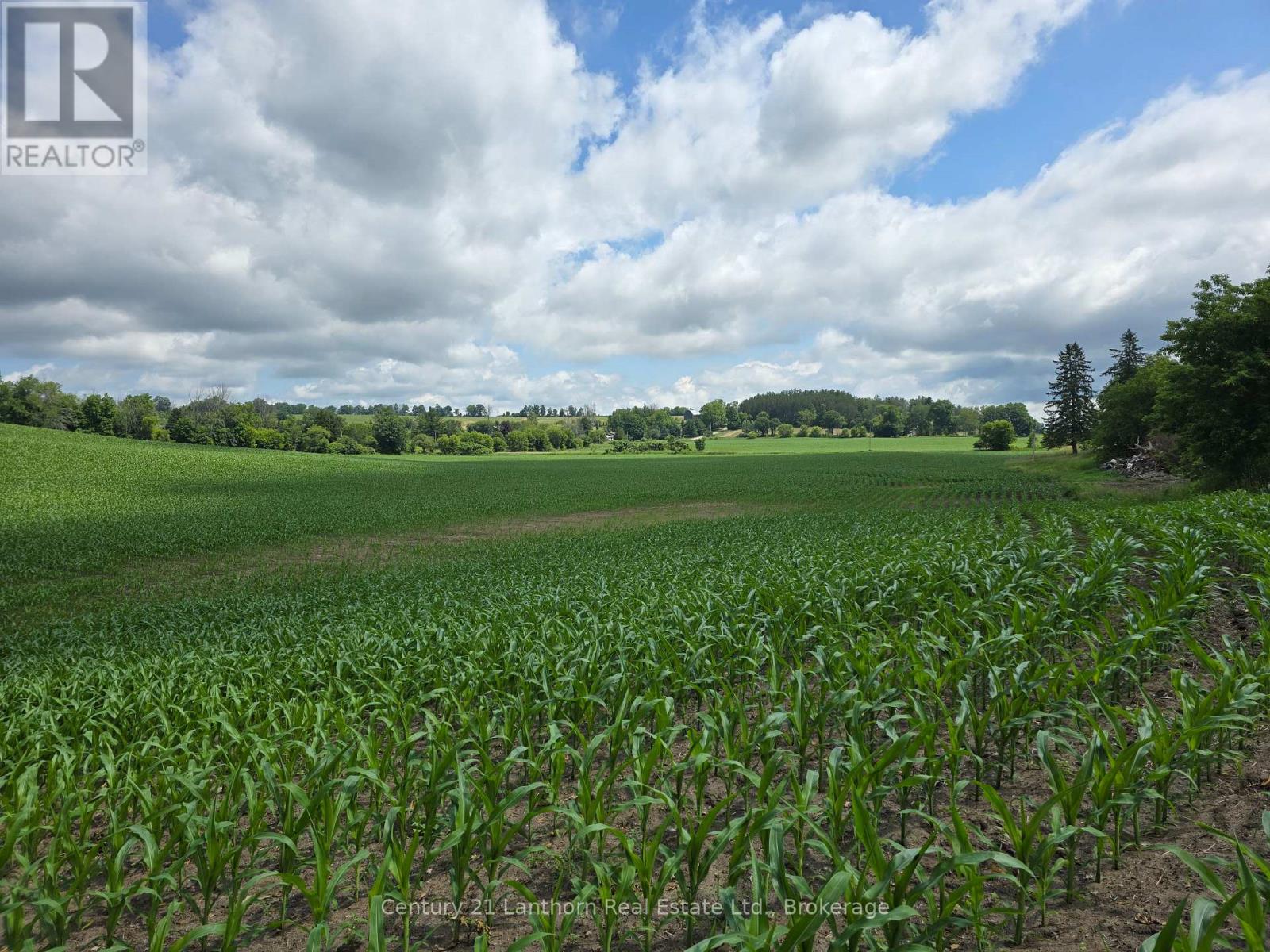 0 Ridge Road, Stirling-Rawdon, Ontario K0K 3E0 - Photo 10 - X13496320