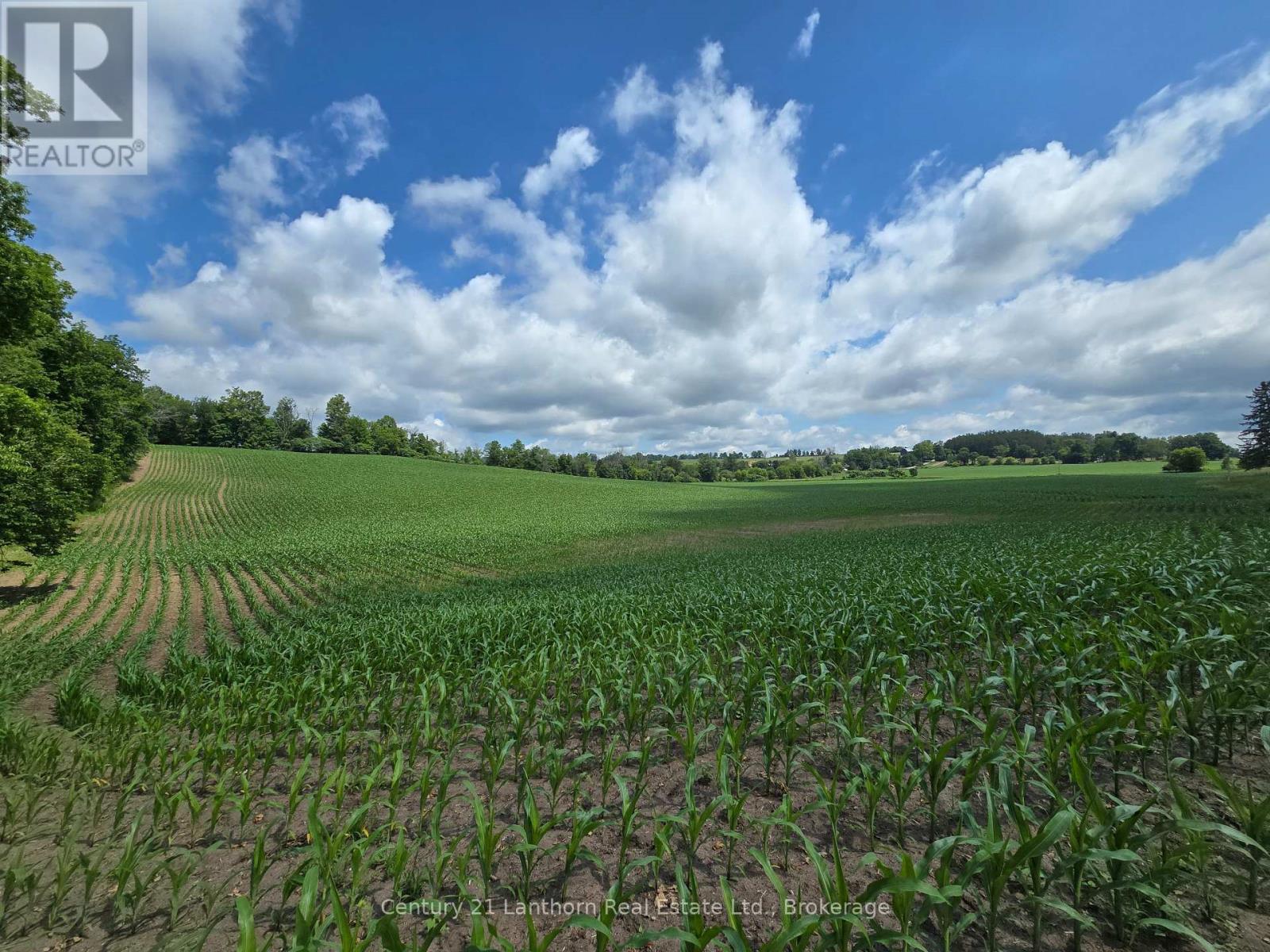 0 Ridge Road, Stirling-Rawdon, Ontario K0K 3E0 - Photo 11 - X13496320