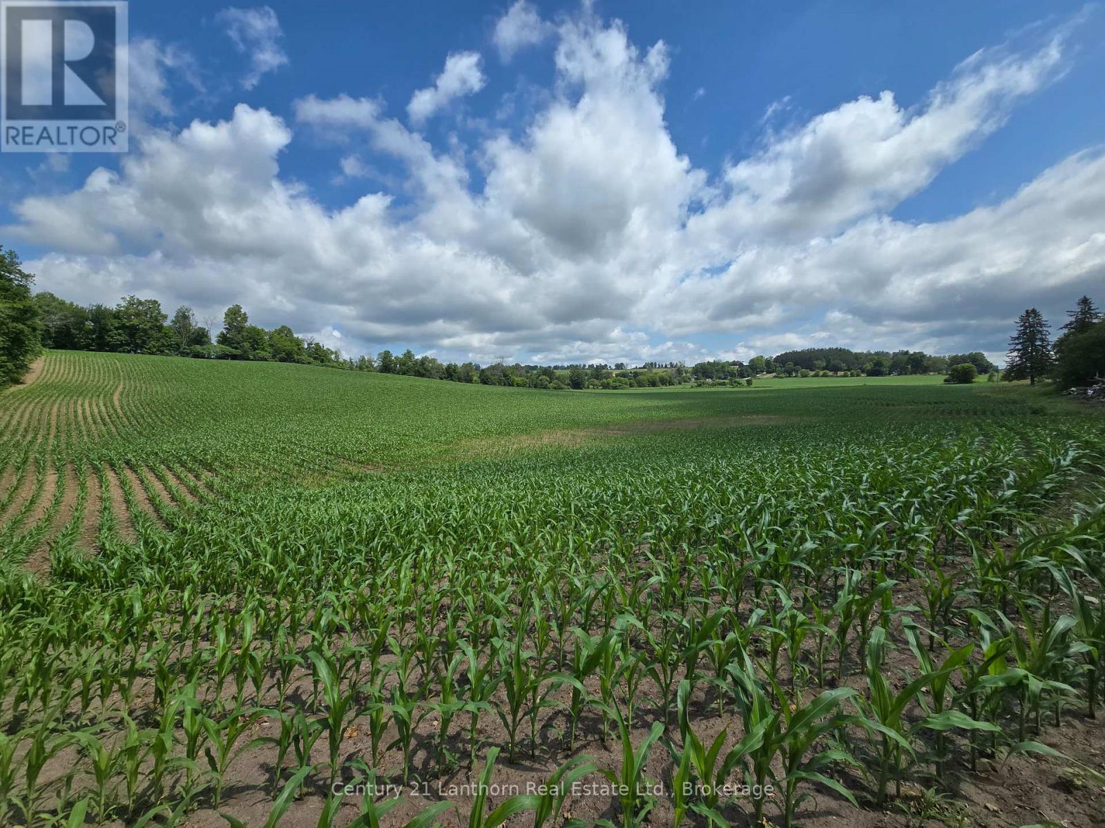 0 Ridge Road, Stirling-Rawdon, Ontario K0K 3E0 - Photo 12 - X13496320