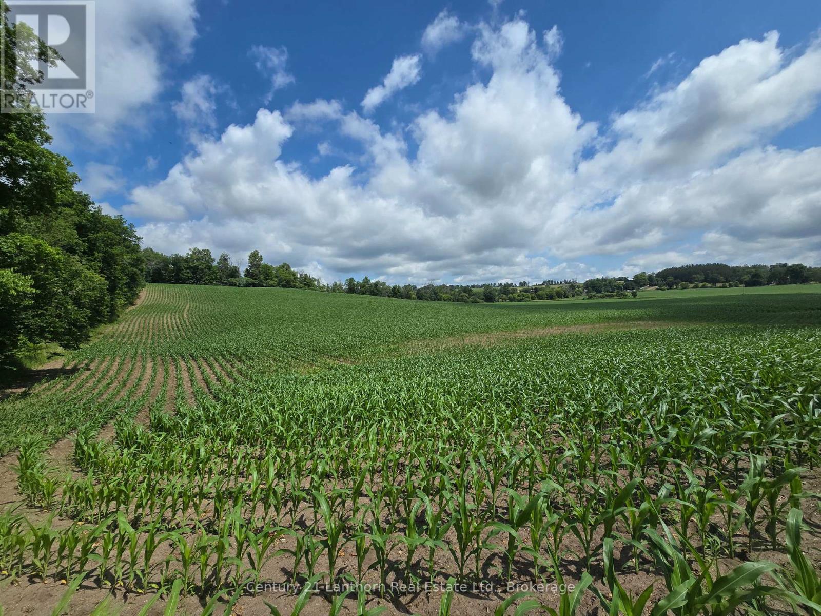 0 Ridge Road, Stirling-Rawdon, Ontario K0K 3E0 - Photo 13 - X13496320