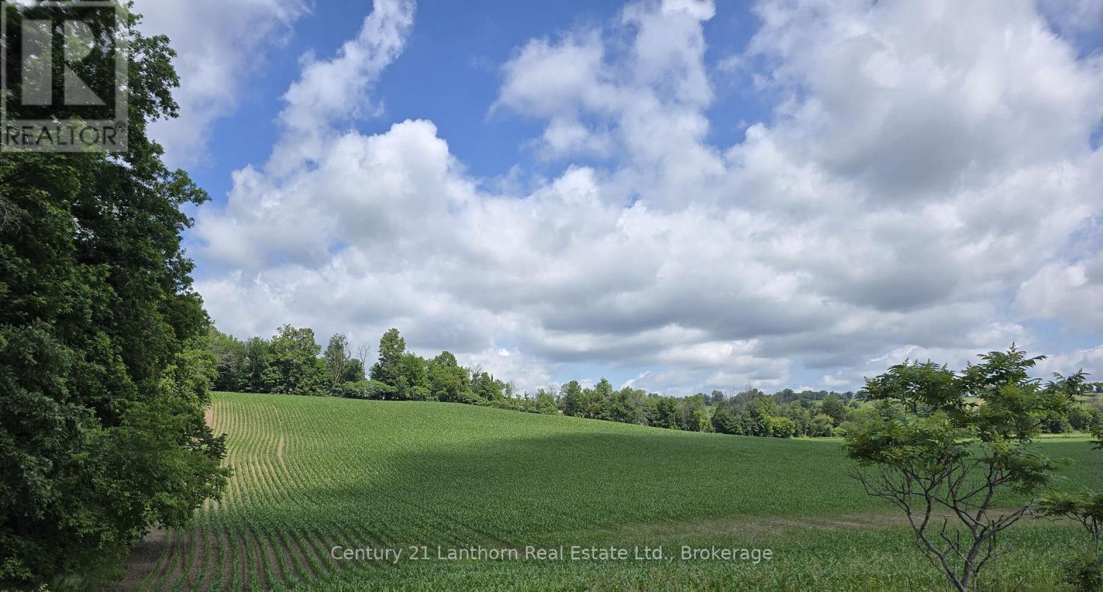 0 Ridge Road, Stirling-Rawdon, Ontario K0K 3E0 - Photo 8 - X13496320