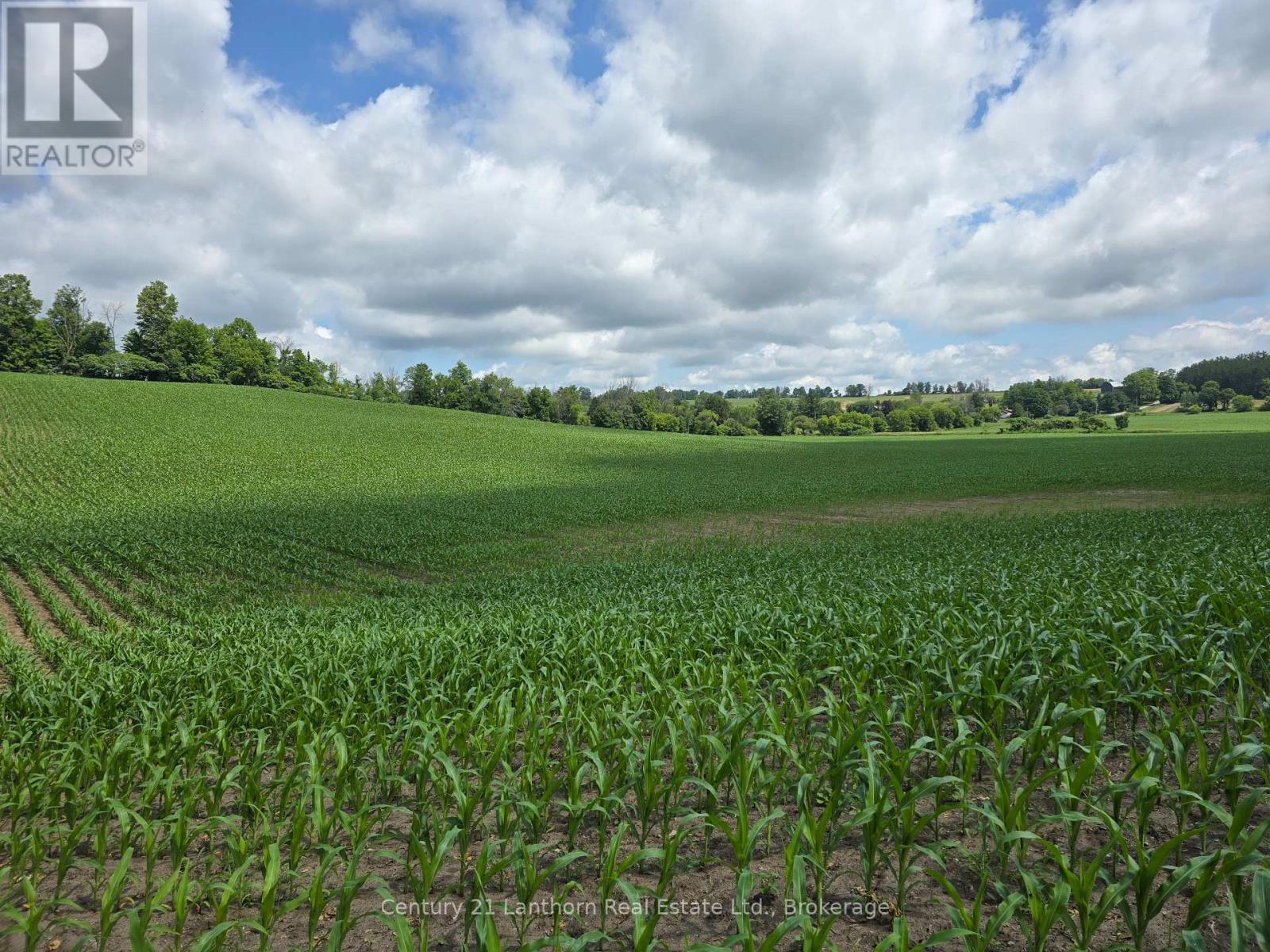 0 Ridge Road, Stirling-Rawdon, Ontario K0K 3E0 - Photo 9 - X13496320