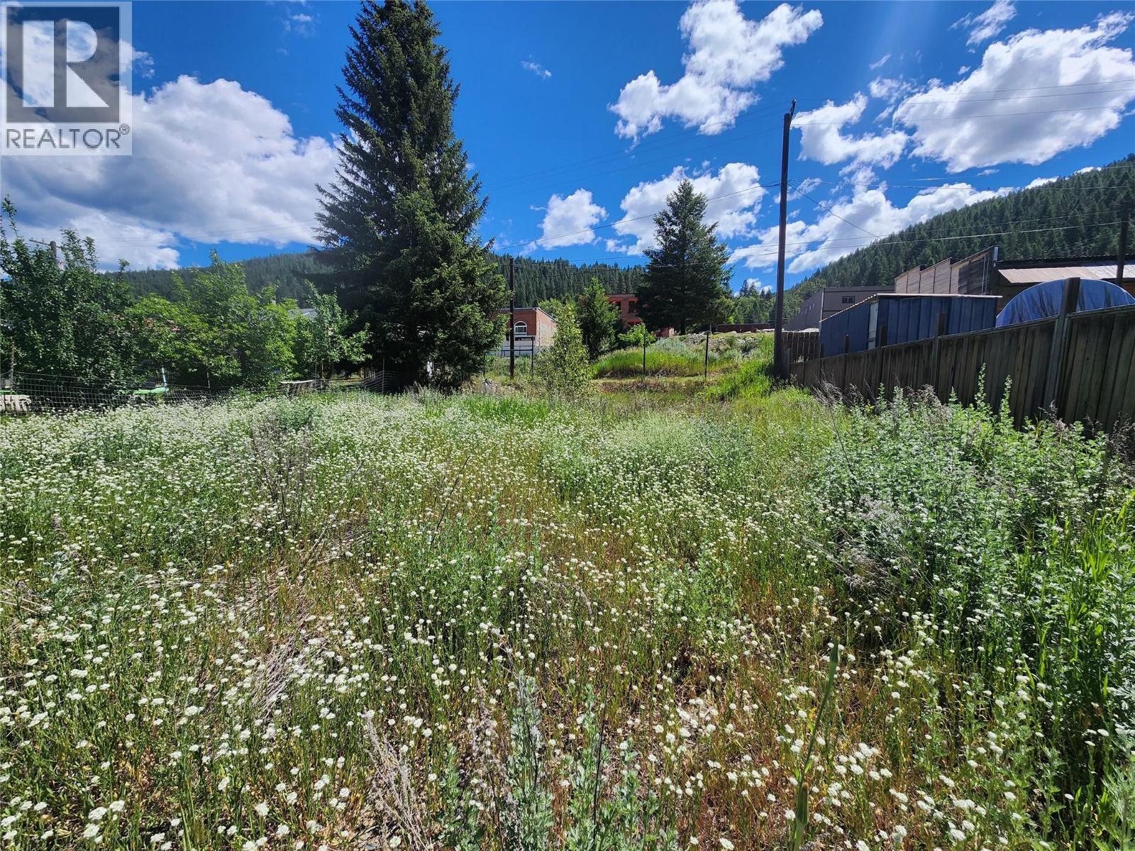 S Silver Avenue, Greenwood, British Columbia  V0H 1J0 - Photo 3 - 10392231