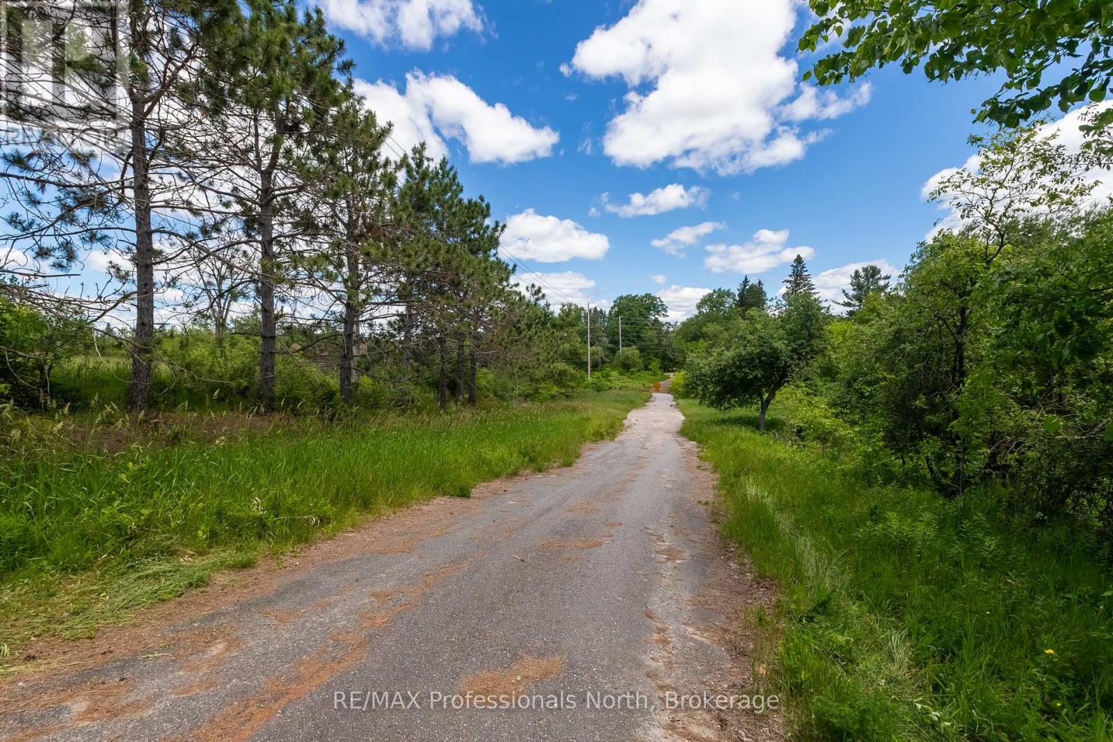 551 Muskoka 118 Road W, Bracebridge, Ontario  P1L 1Y1 - Photo 14 - X13496570