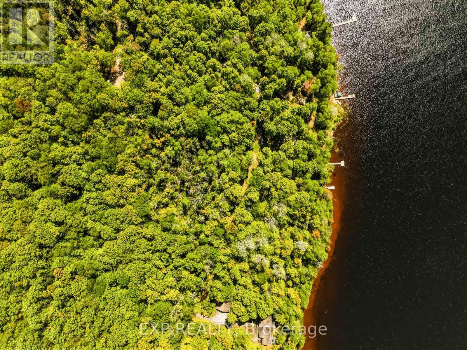 686 East Fox Lake Road, Huntsville, Ontario  P1H 2J2 - Photo 5 - X13423426