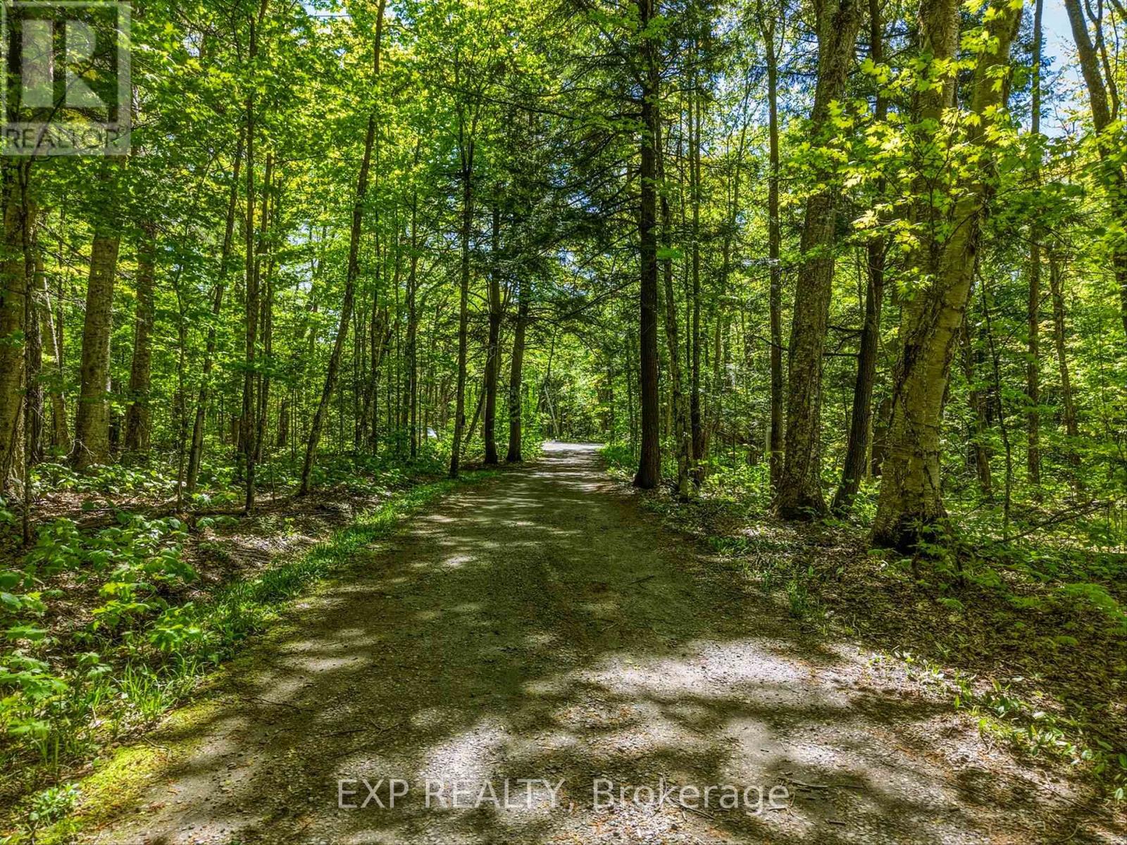 686 East Fox Lake Road, Huntsville, Ontario  P1H 2J2 - Photo 11 - X13423426