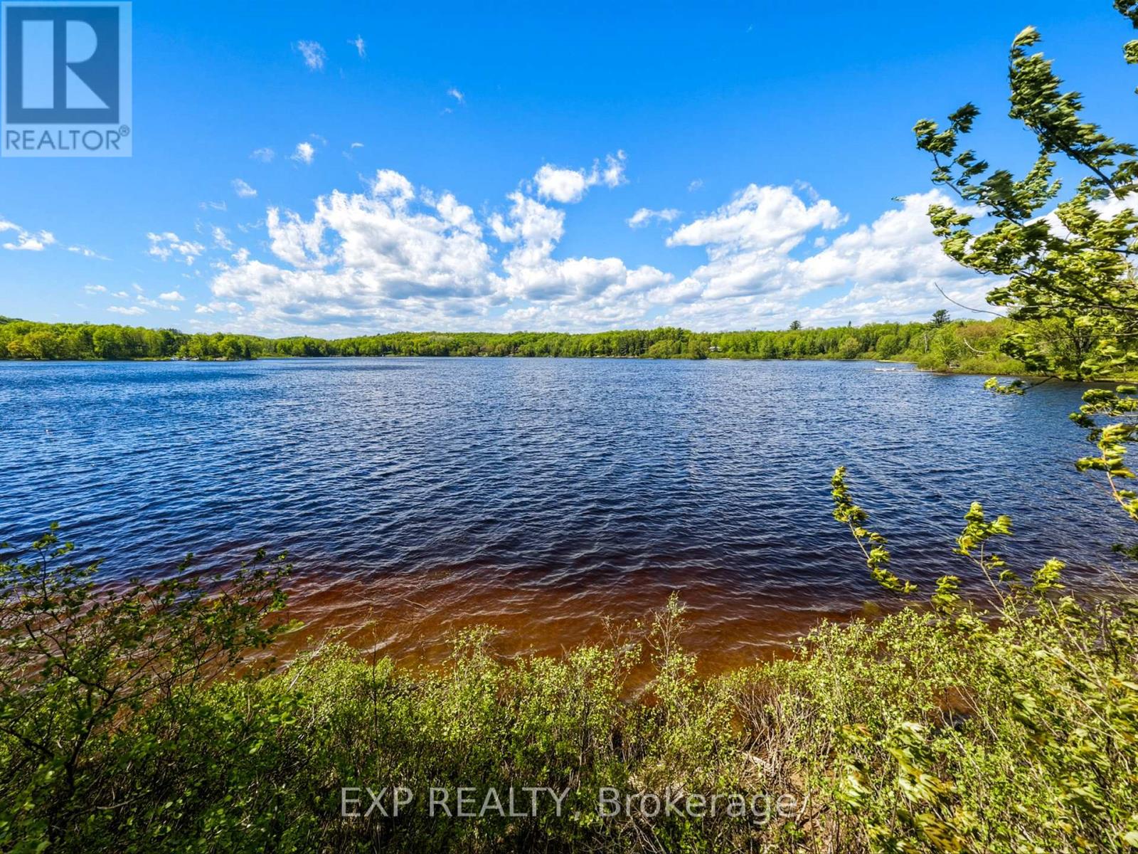 686 East Fox Lake Road, Huntsville, Ontario  P1H 2J2 - Photo 6 - X13423426