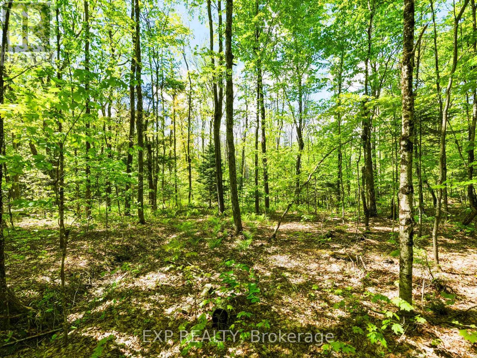 686 East Fox Lake Road, Huntsville, Ontario  P1H 2J2 - Photo 12 - X13423426