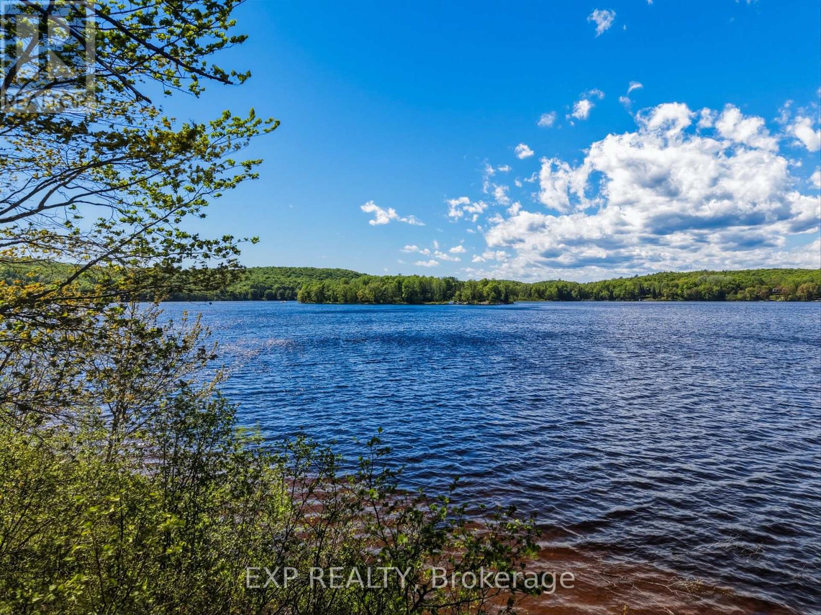 686 East Fox Lake Road, Huntsville, Ontario  P1H 2J2 - Photo 7 - X13423426