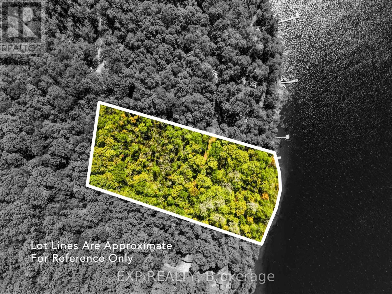 686 East Fox Lake Road, Huntsville, Ontario  P1H 2J2 - Photo 4 - X13423426