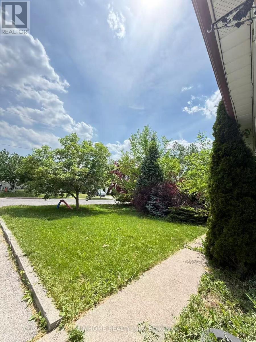 Main - 256 Patricia Avenue, Toronto, Ontario  M2M 1J8 - Photo 25 - C13443442