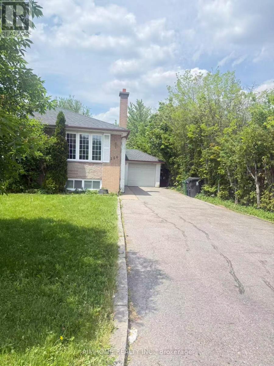 Main - 256 Patricia Avenue, Toronto, Ontario  M2M 1J8 - Photo 23 - C13443442