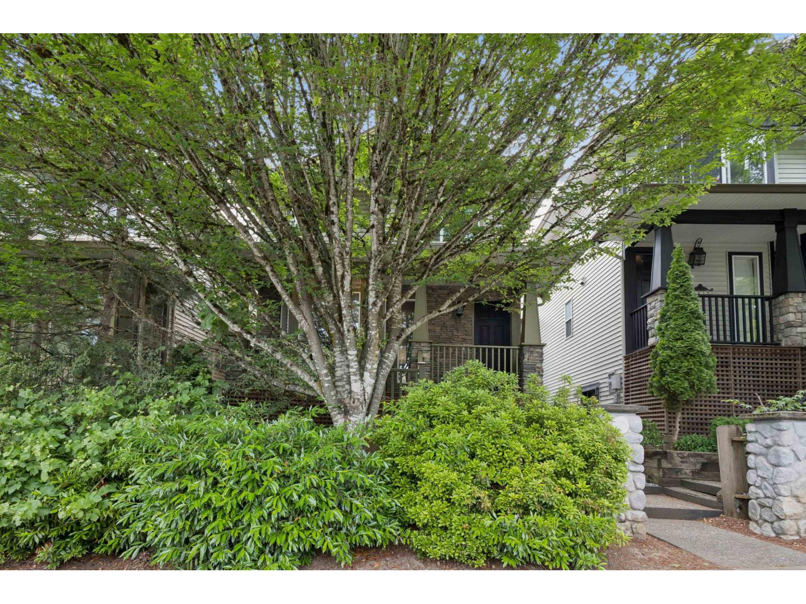 8838 216 Street, Langley, British Columbia  V1M 3Z5 - Photo 37 - R3140579