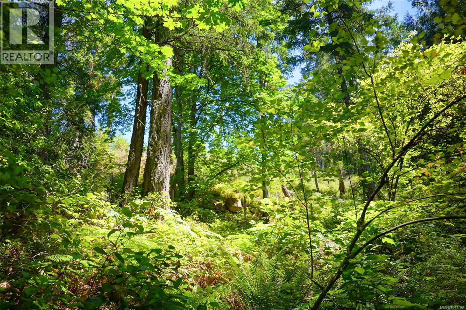 277 Stark Rd, Salt Spring, British Columbia  V8K 1M4 - Photo 22 - 1041709