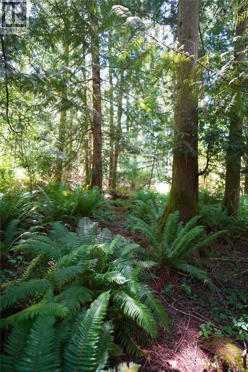 277 Stark Rd, Salt Spring, British Columbia  V8K 1M4 - Photo 38 - 1041709