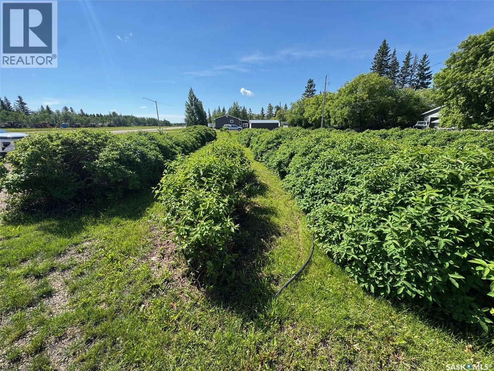 204 35 Hwy S, Archerwill, Saskatchewan  S0E 0B0 - Photo 11 - SK040845