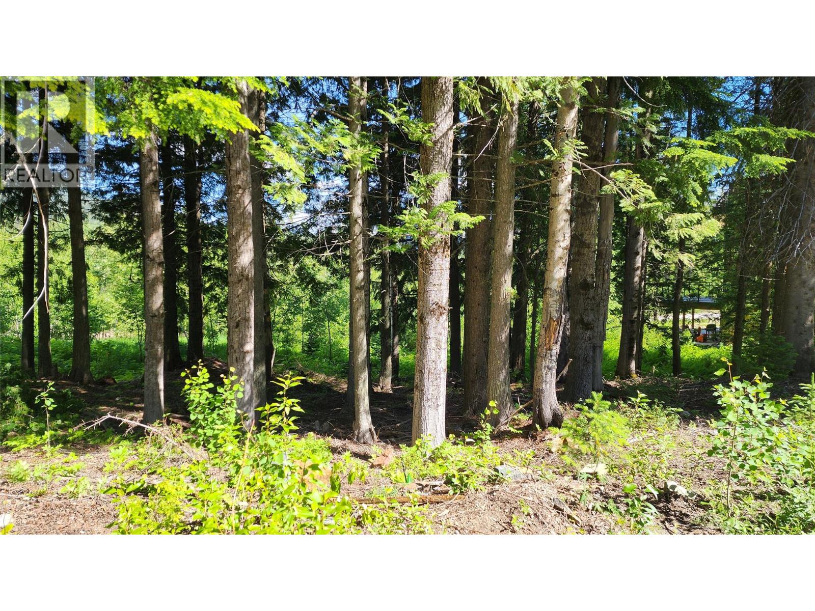 211 Cedar Creek Place, Rossland, British Columbia  V0G 1Y0 - Photo 7 - 10391402