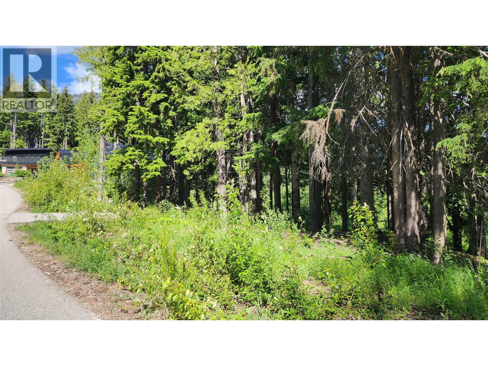 211 Cedar Creek Place, Rossland, British Columbia  V0G 1Y0 - Photo 6 - 10391402