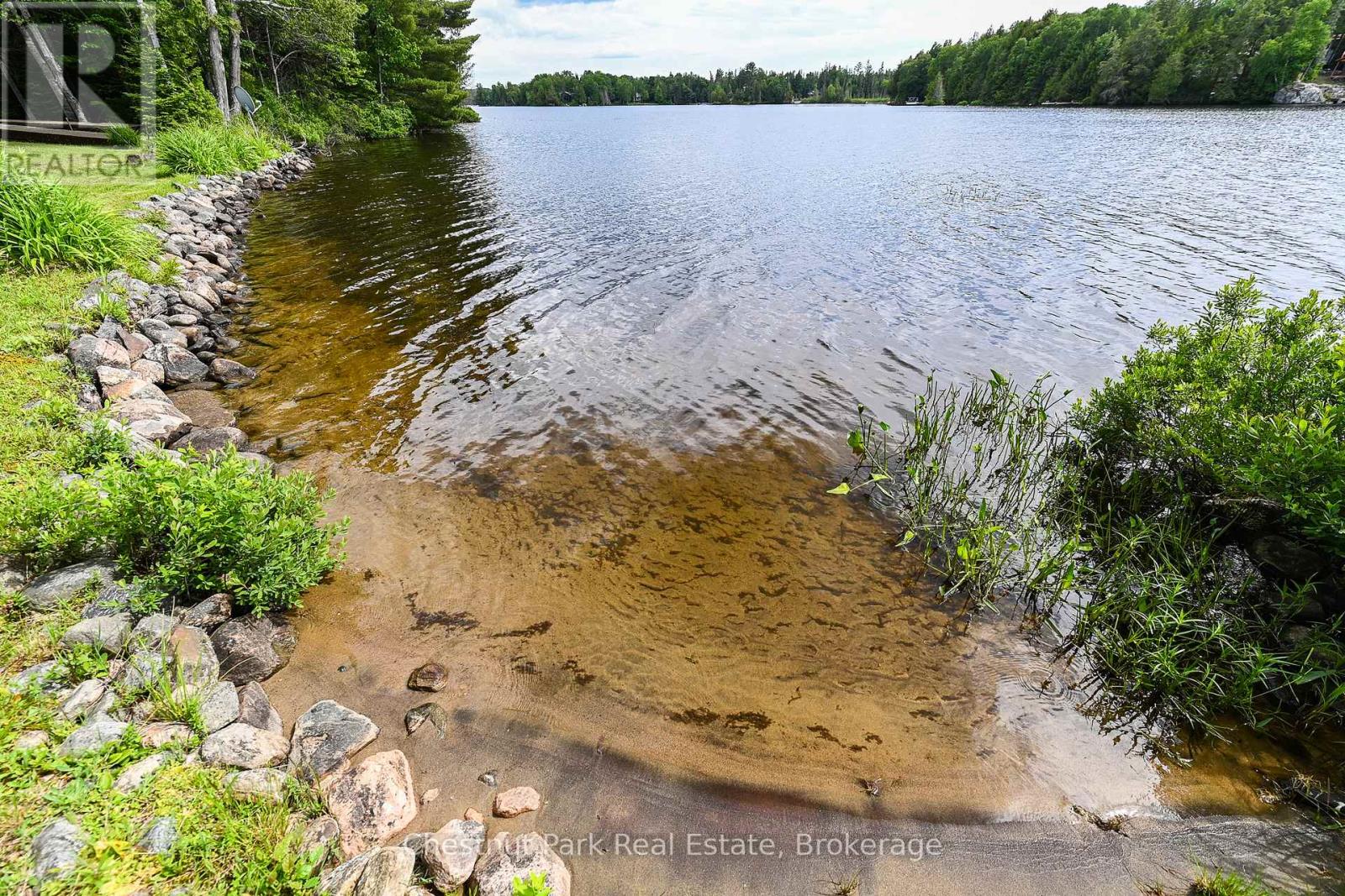 37 Willards Lane, Parry Sound Remote Area (Lount), Ontario  P0A 1X0 - Photo 18 - X13497270