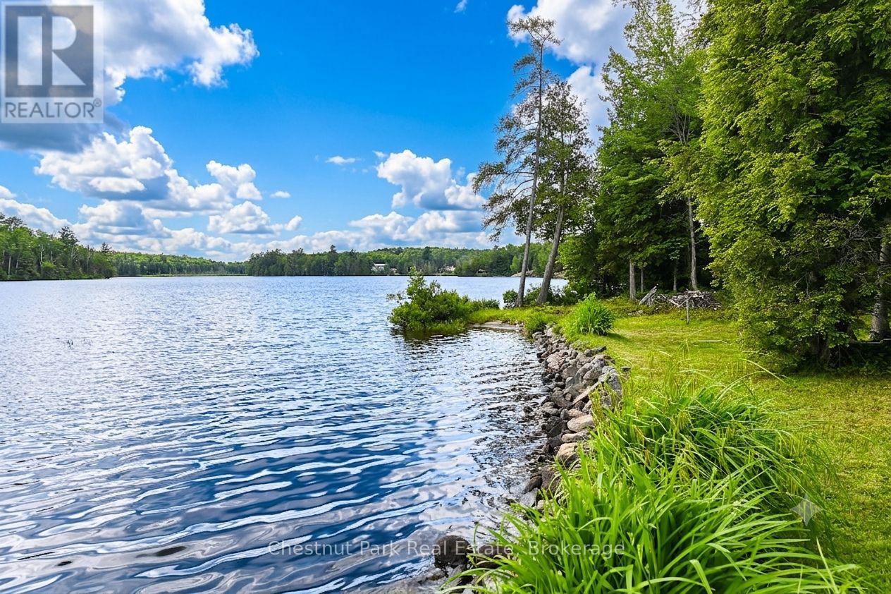 37 Willards Lane, Parry Sound Remote Area (Lount), Ontario  P0A 1X0 - Photo 4 - X13497270