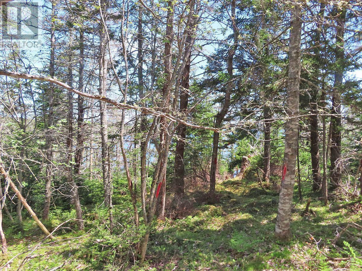 Lot 10 Hwy 316 (Grovers Point), Cole Harbour, Nova Scotia  B0H 1T0 - Photo 23 - 202428068