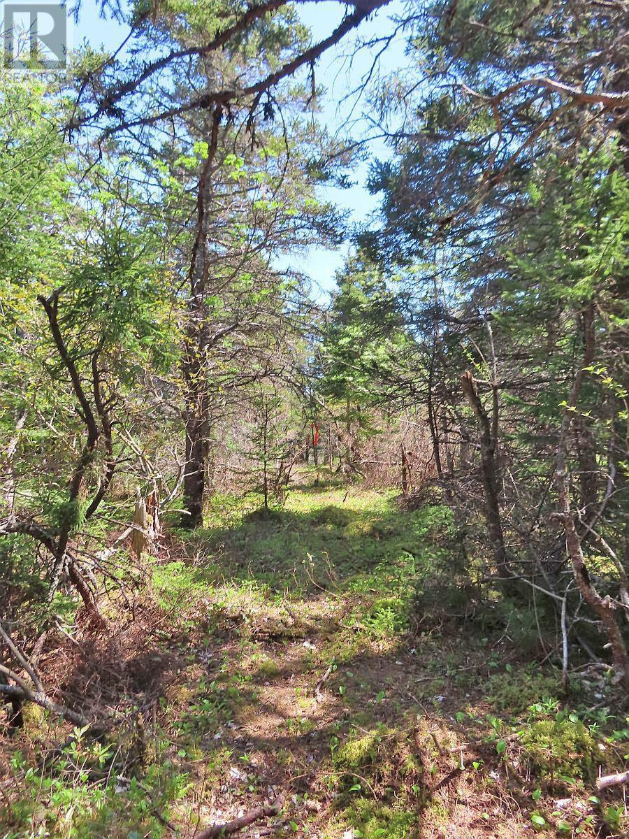 Lot 10 Hwy 316 (Grovers Point), Cole Harbour, Nova Scotia  B0H 1T0 - Photo 25 - 202428068