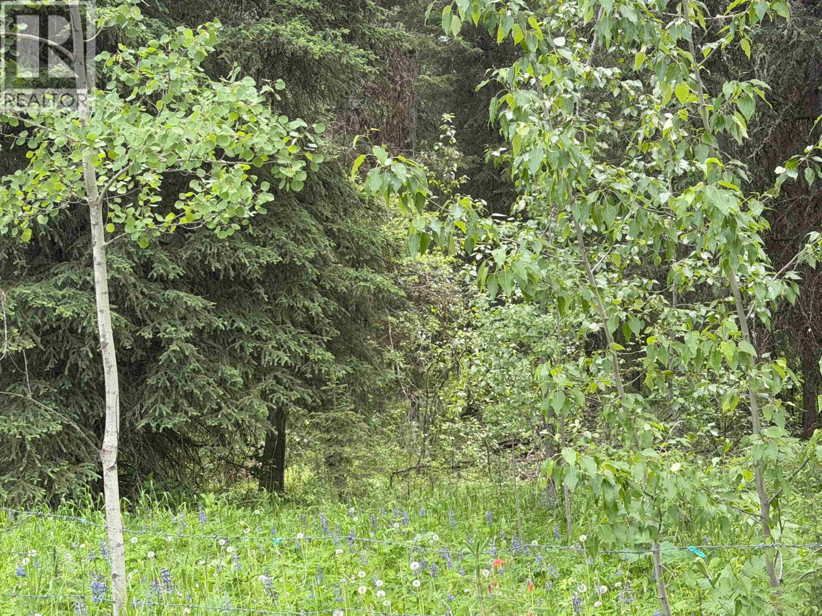7772 Bell Road, Lone Butte, British Columbia  V0K 1X2 - Photo 16 - R3140599