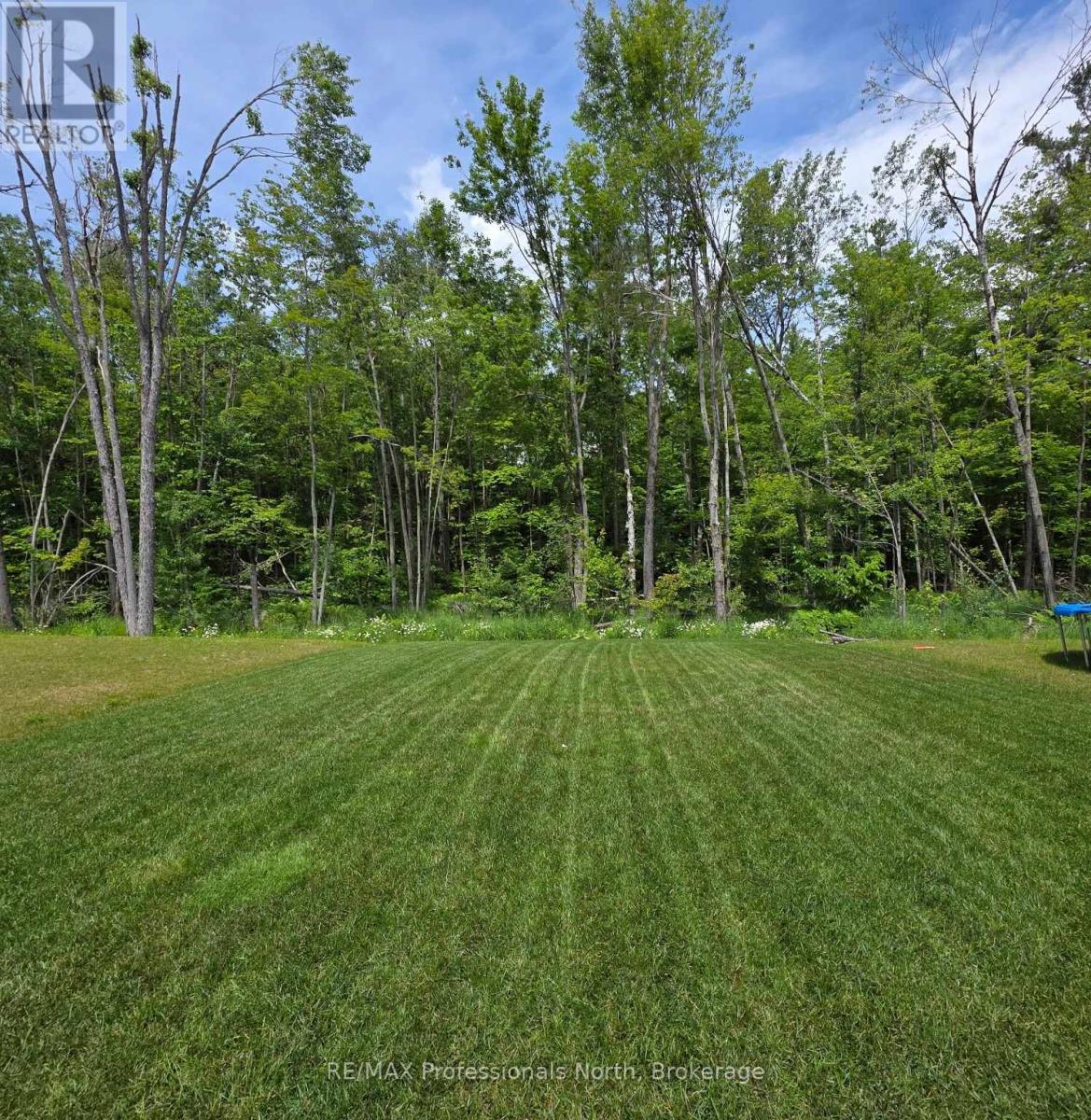 385 Beechwood Forest Lane, Gravenhurst, Ontario  P1P 0H8 - Photo 36 - X13213000