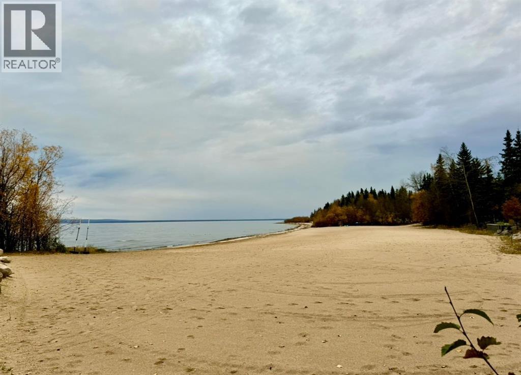 125 Monias Drive, Rural Big Lakes County, Alberta  T0H 1E0 - Photo 50 - A2267067