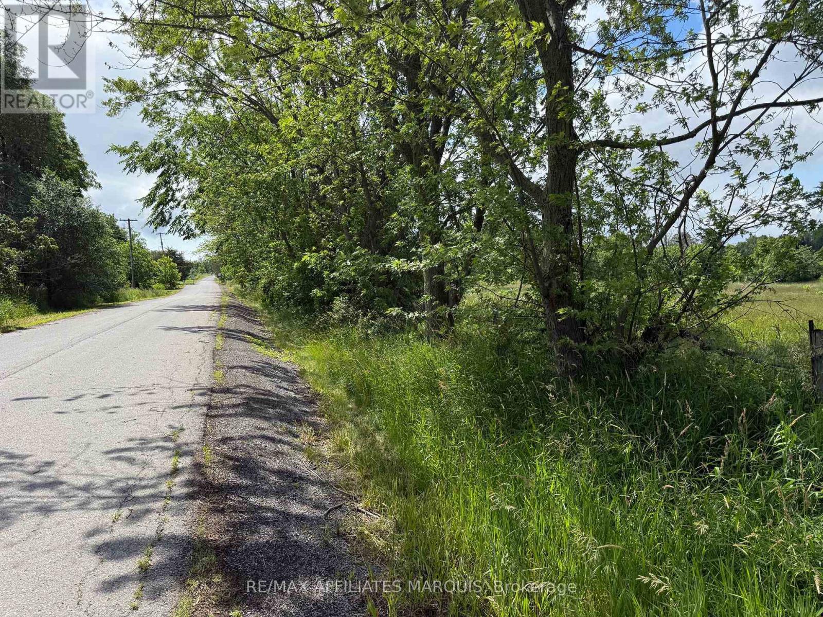 231 Wellington (Pin-451060369) Street, Greater Napanee, Ontario  K0K 1G0 - Photo 4 - X13497252