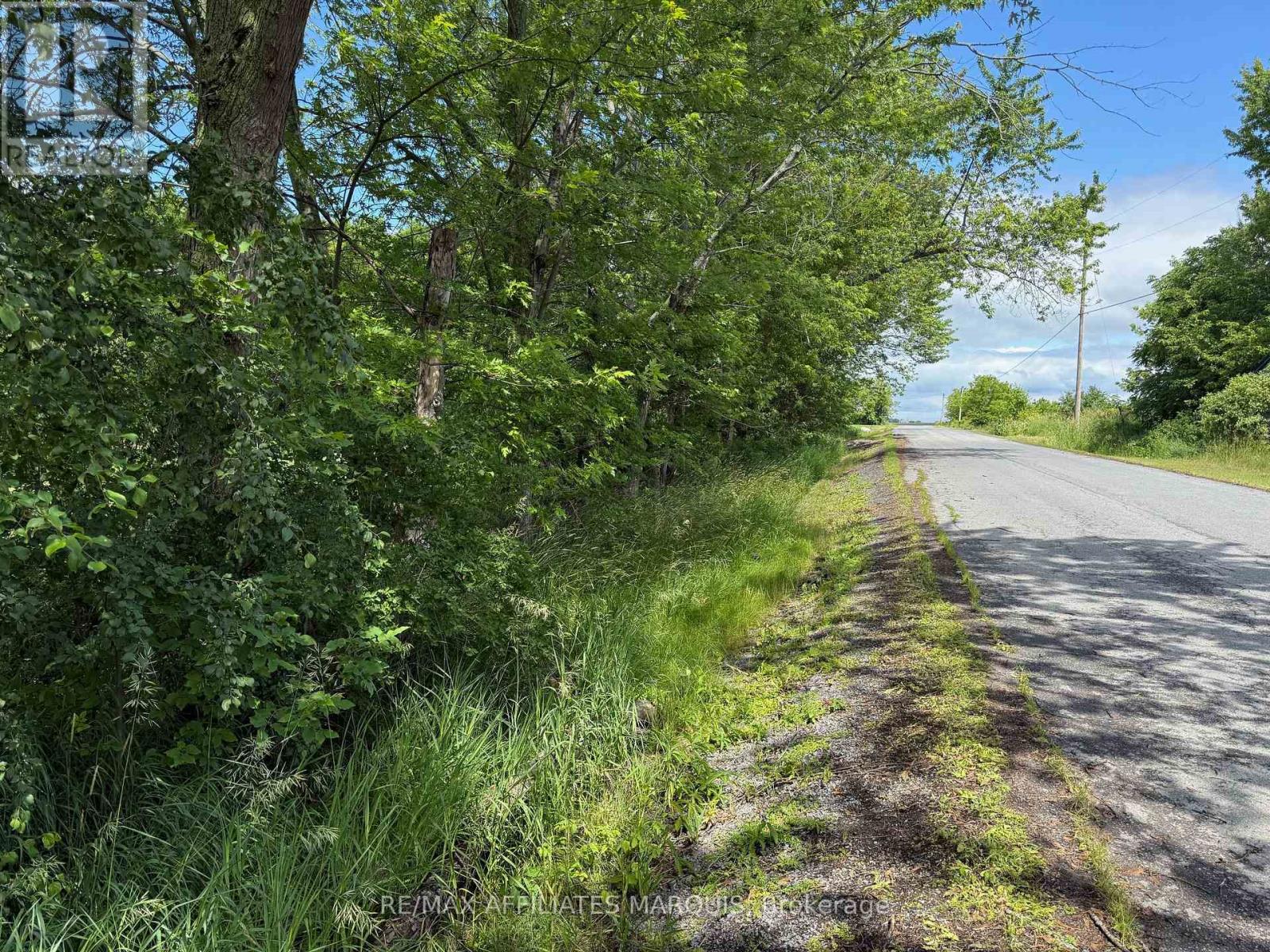 231 Wellington ( Pin-451060369) Street, Greater Napanee, Ontario  K0K 1G0 - Photo 4 - X13497258