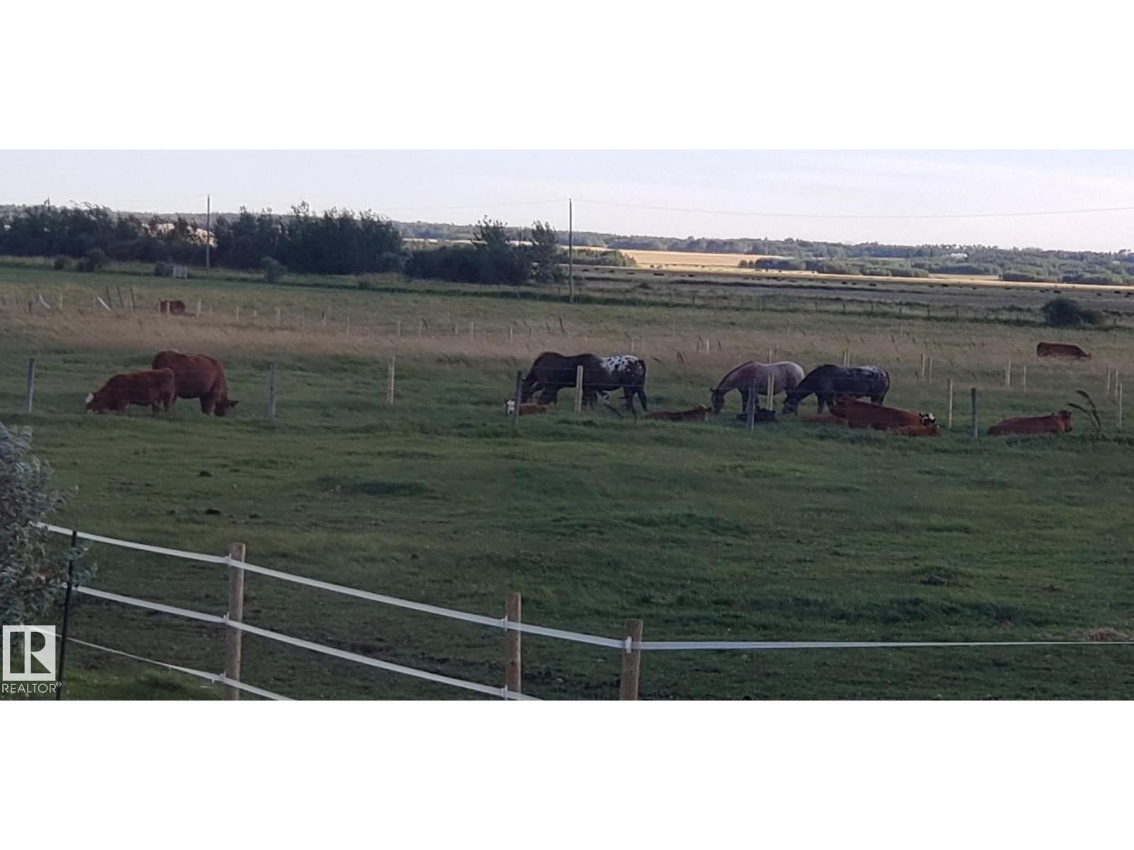 48479 Rr230, Rural Leduc County, Alberta  T0B 3M3 - Photo 24 - E4496121