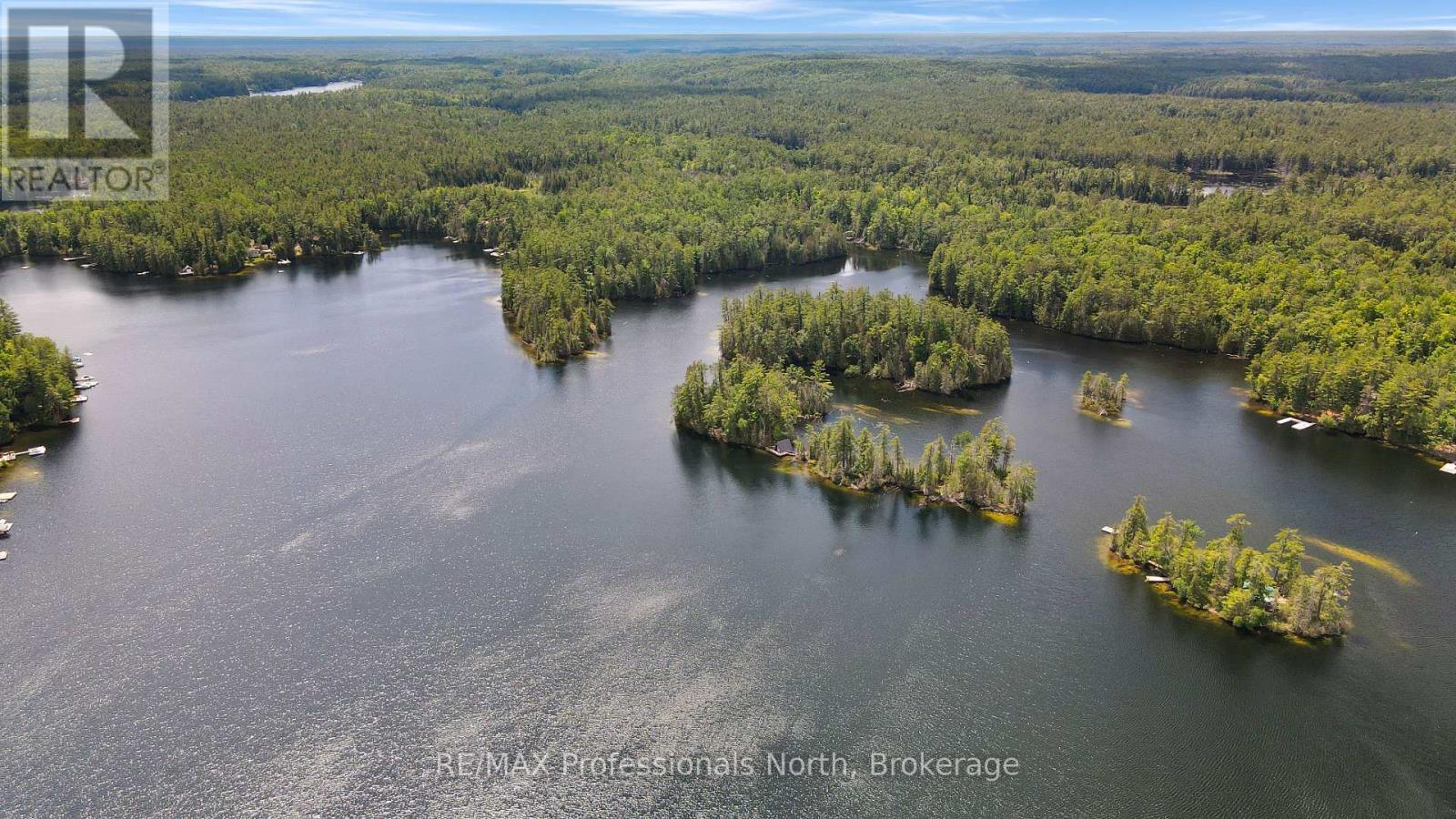 334 East Clear Bay Road, Trent Lakes, Ontario  K0M 2A0 - Photo 49 - X13498272