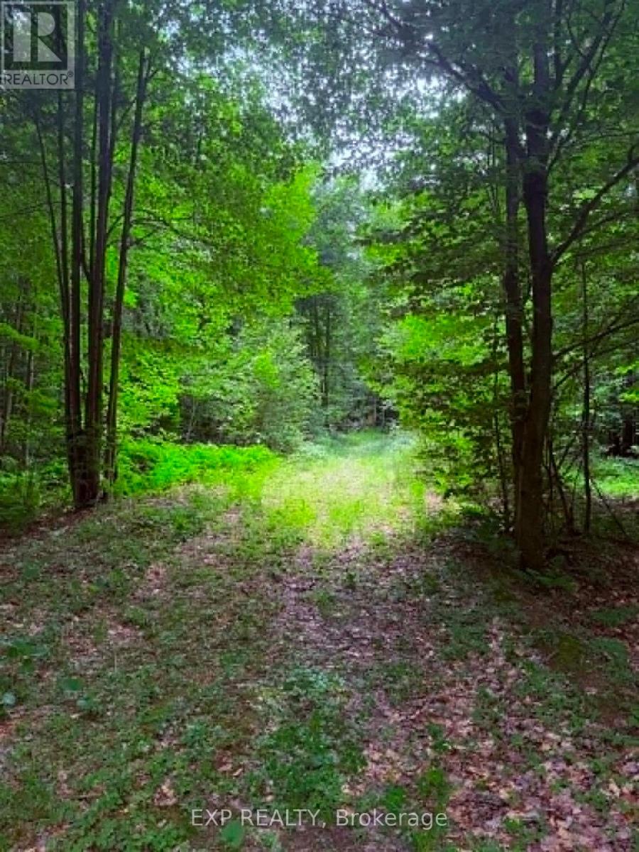 00 B Concession Road 4 Road, Alfred And Plantagenet, Ontario  K0B 1L0 - Photo 13 - X13492480