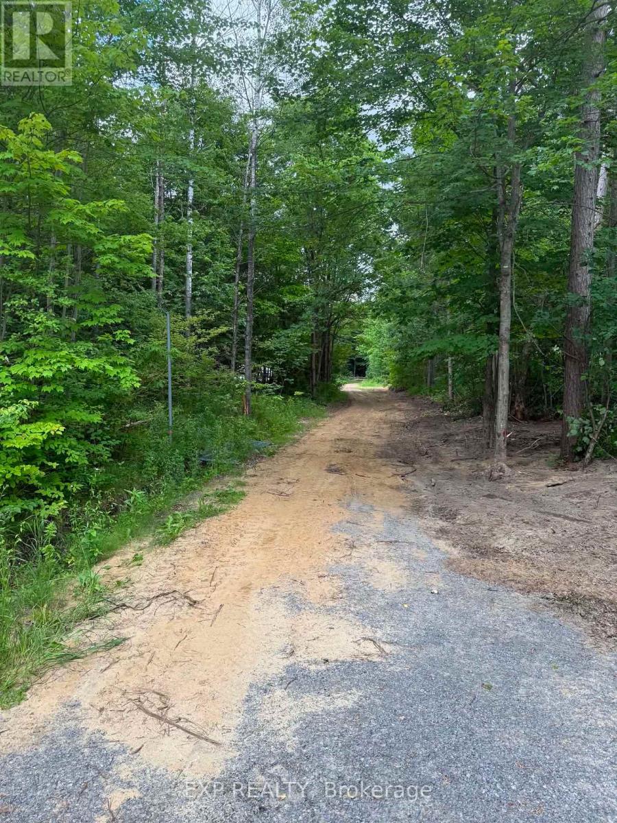 00 B Concession Road 4 Road, Alfred And Plantagenet, Ontario  K0B 1L0 - Photo 6 - X13492480