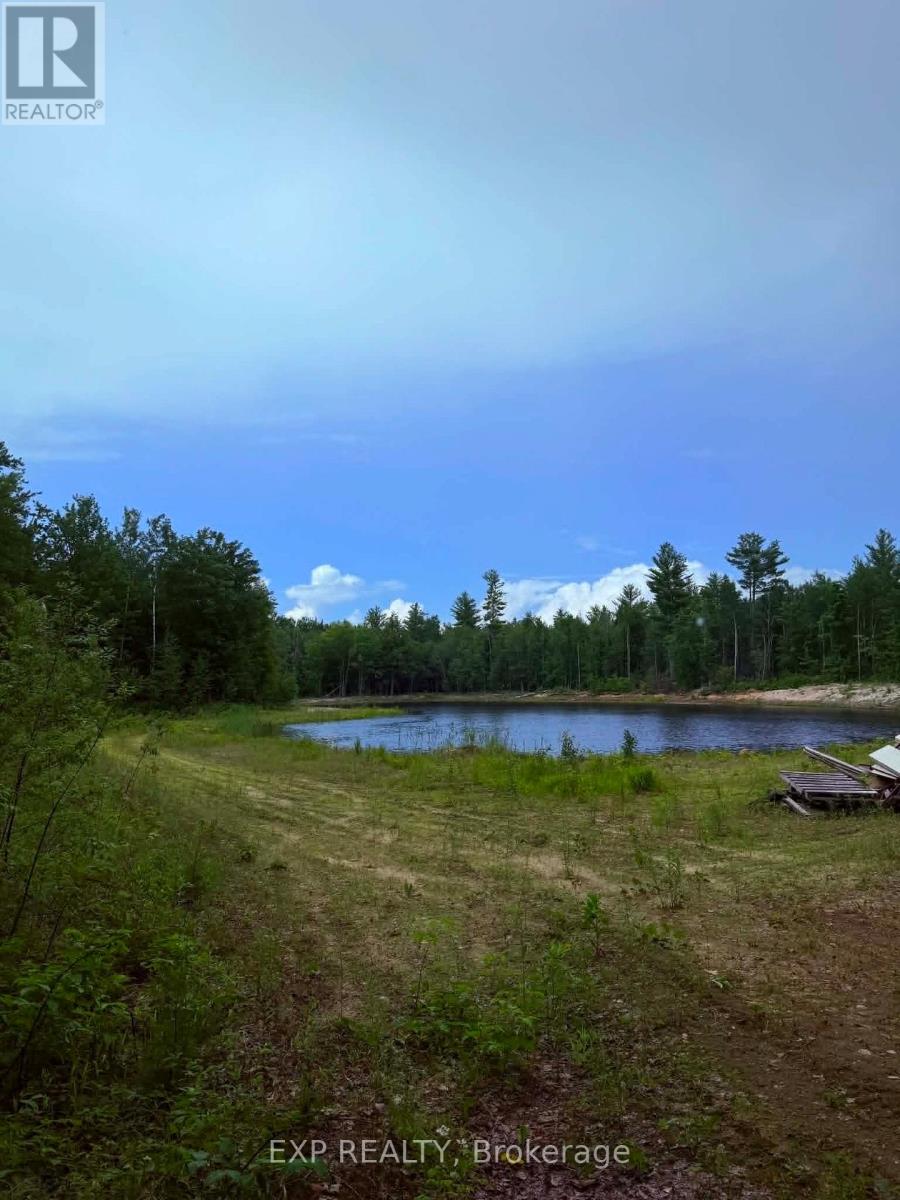 00 B Concession Road 4 Road, Alfred And Plantagenet, Ontario  K0B 1L0 - Photo 8 - X13492480