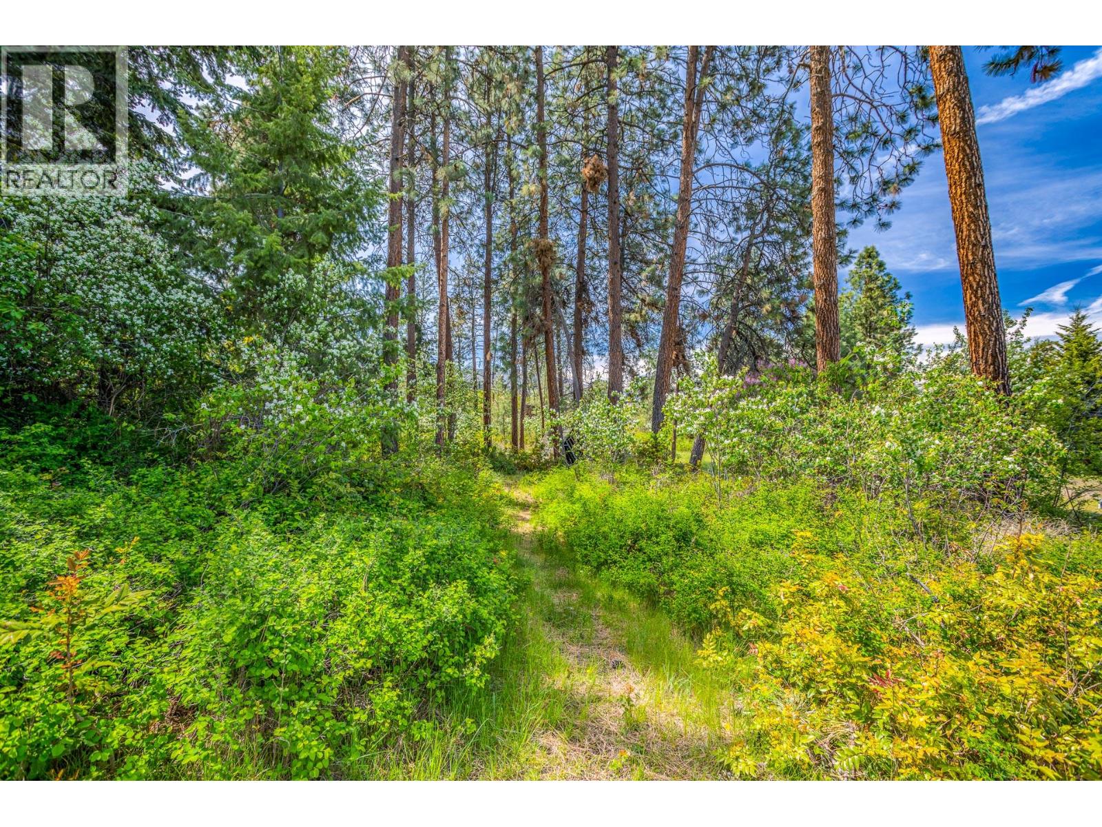 Listing image 79