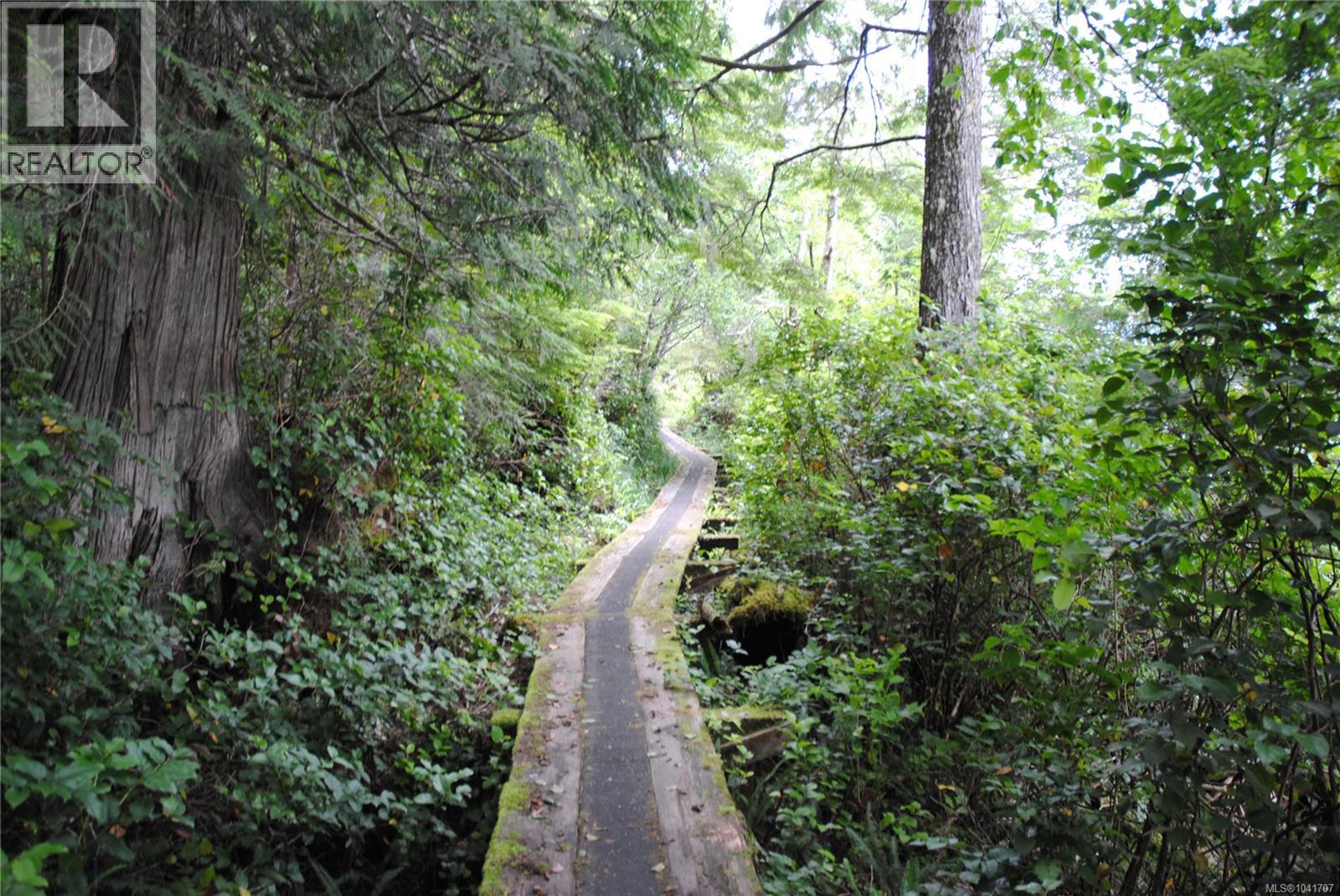 Lot 5 328 Winter Harbour Rd, Winter Harbour, British Columbia  V0N 3L0 - Photo 6 - 1041707