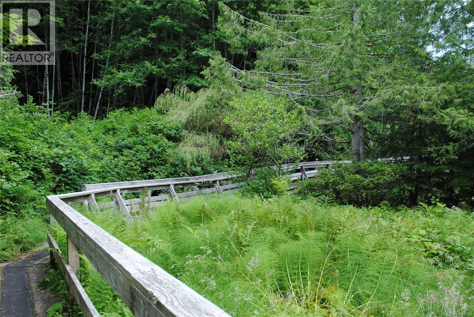 Lot 6 324 Winter Harbour Rd, Winter Harbour, British Columbia  V0N 3L0 - Photo 14 - 1041759