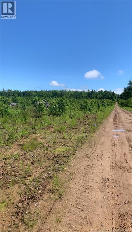 Lot 23-A Melanson Road, Notre-Dame, New Brunswick E4V 1Z6 - Photo 4 - NB139152