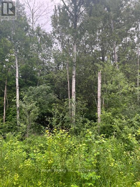 0 Lilac Road At Pigeon Lake Road, Kawartha Lakes, Ontario  K9V 4R3 - Photo 3 - X13492004
