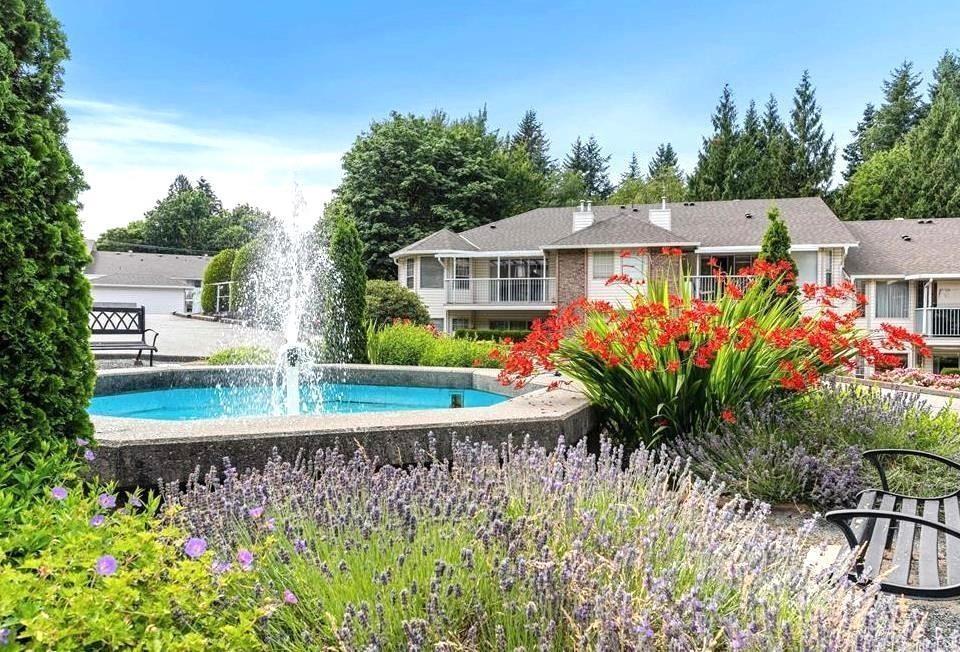 13 33123 George Ferguson Way, Abbotsford, British Columbia  V2S 2L6 - Photo 2 - R3072572
