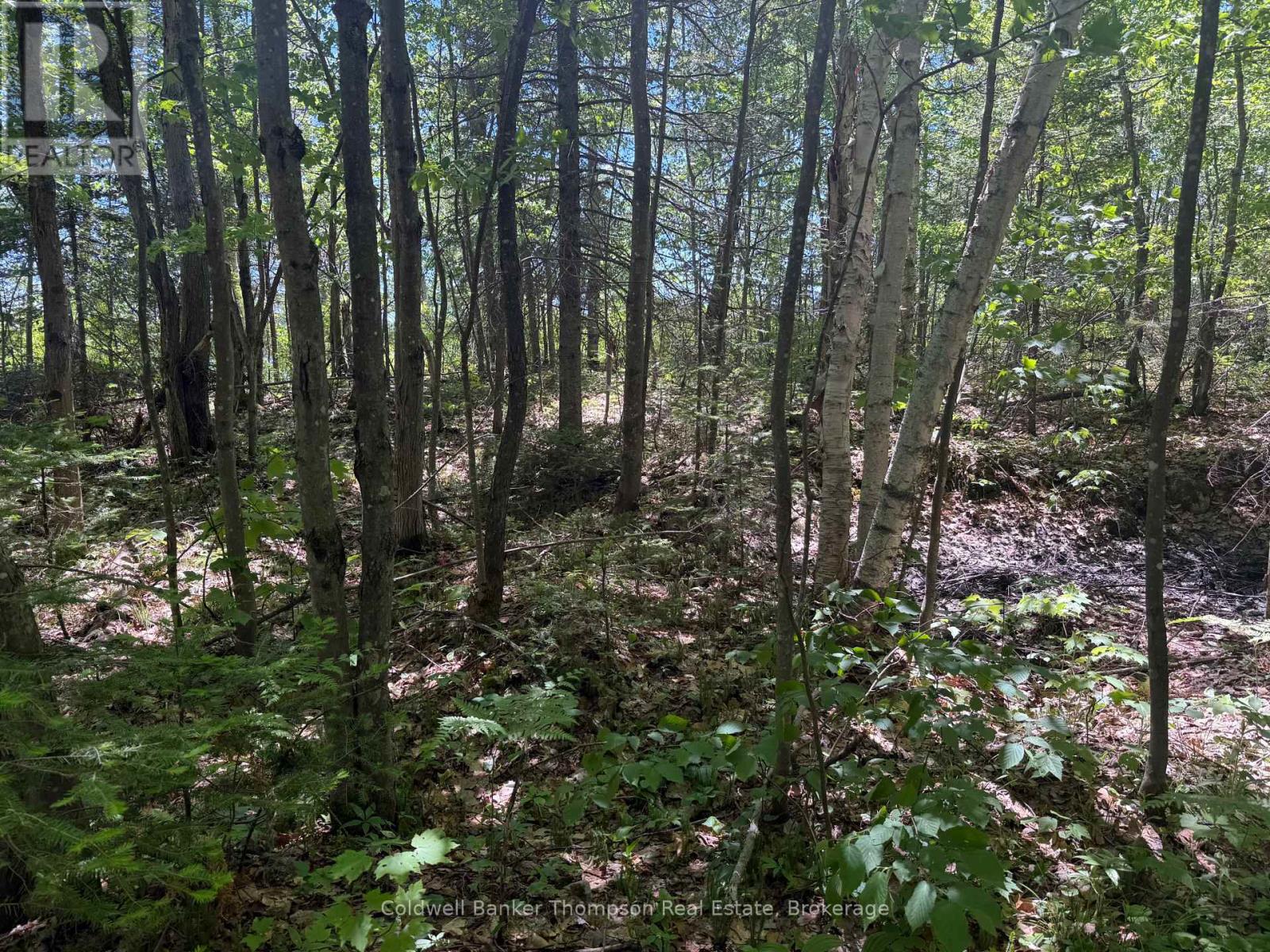 0 Beaver Lane, Nipissing, Ontario  P0H 1W0 - Photo 21 - X13498674