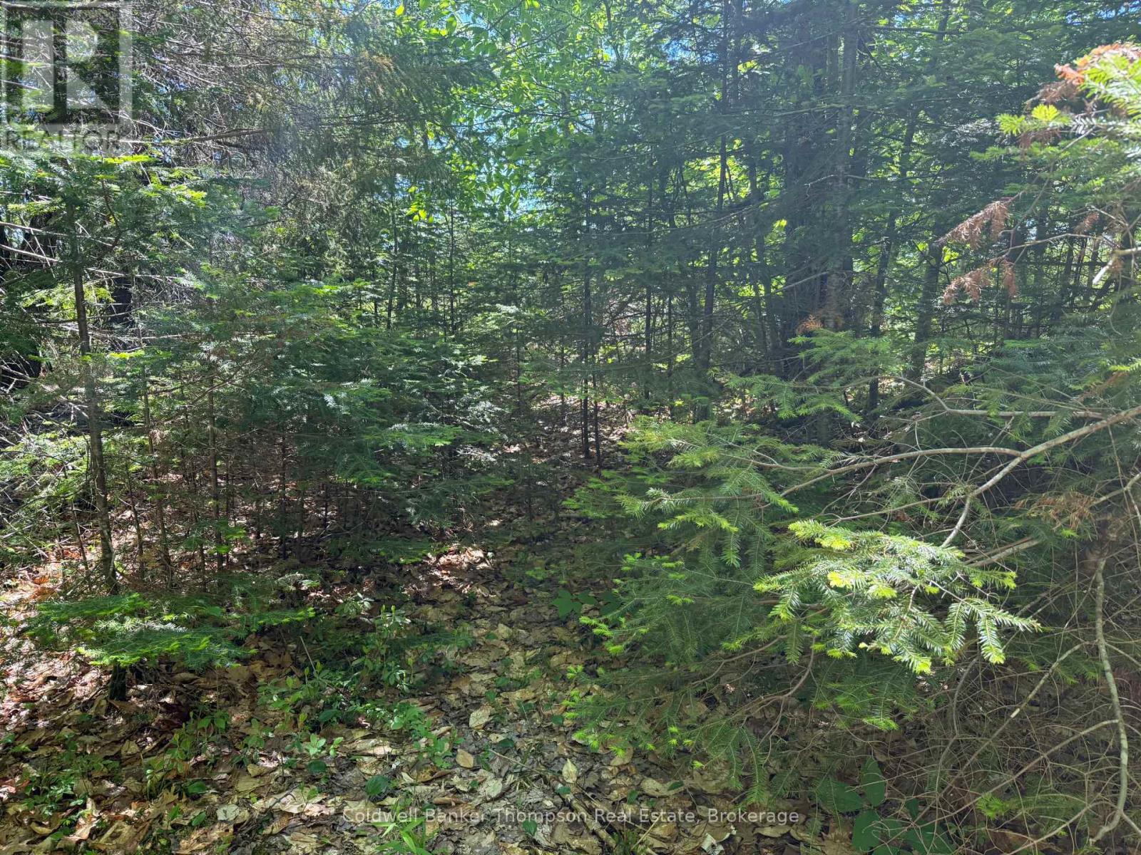 0 Beaver Lane, Nipissing, Ontario  P0H 1W0 - Photo 23 - X13498674