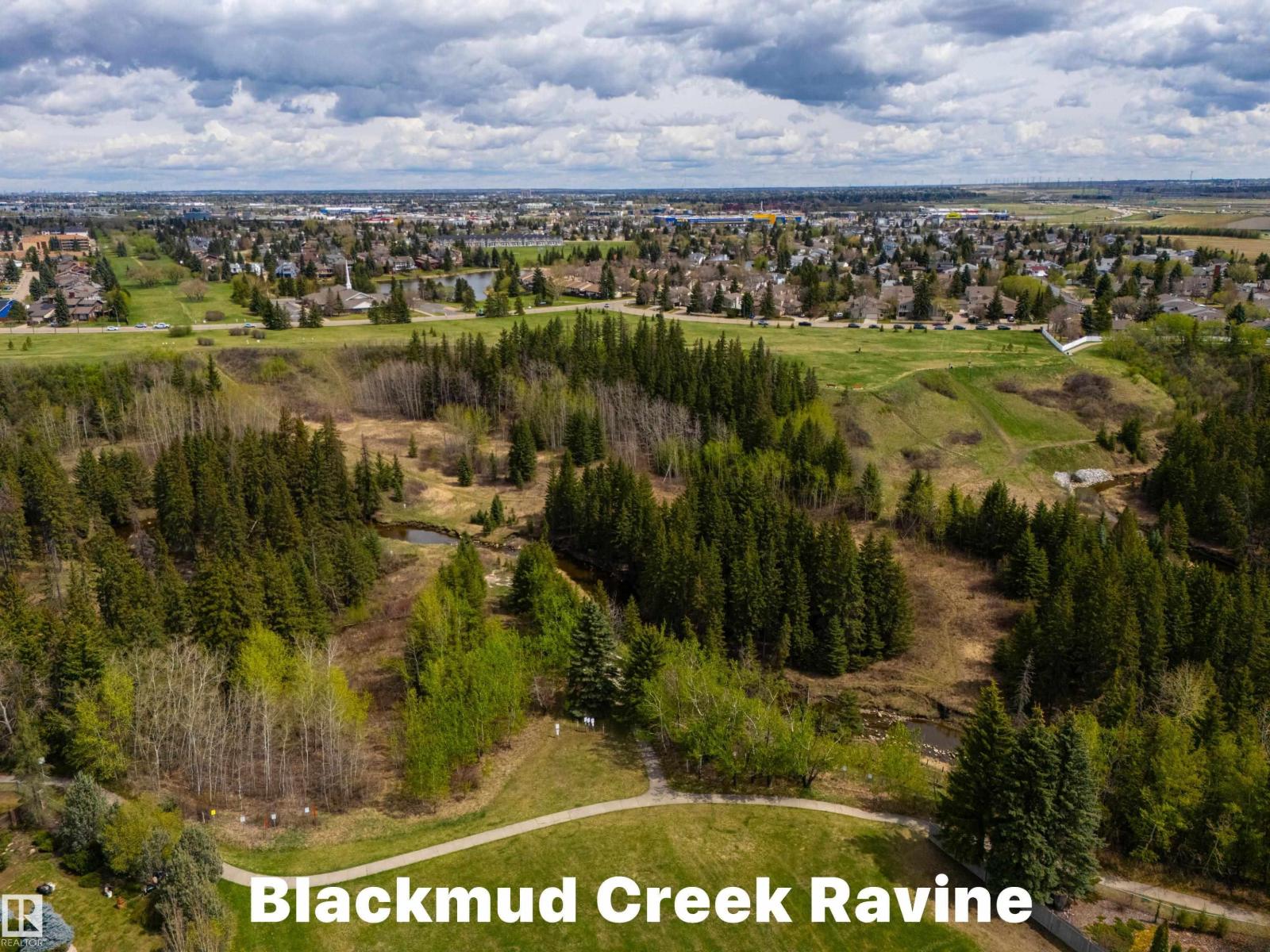 11028 11 Av NW, Edmonton, Alberta  T6J 6M9 - Photo 60 - E4496165